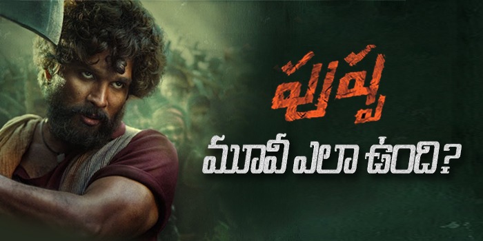 పుష్ప సినిమా పై మీ అభిప్రాయం ?